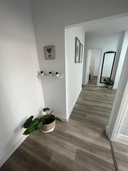 Piso Centrico En Las Palmas Luaran gambar